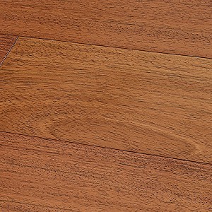 Brazilian Cherry